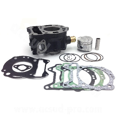 CYLINDRE PISTON RB MAX FONTE ADAPT. PIAGGIO 125 MP3 2007>, BEVERLY 2005>, X8 2004>, X9 2003>, X10 2012>, X-EVO 2007>, VESPA GTS 2007> / GILERA 125 NEXUS 2007>, RUNNER 4T 2005> / APRILIA 125 ATLANTIC 2003>(MOTORI LEADER LC 125) (OEM : 1A007784)